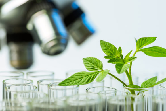 Research & Development Research & Development