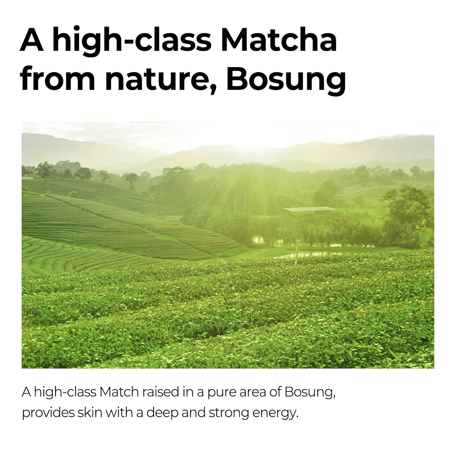 SOME BY MI Super Matcha Serum 5 skincare-kbeauty-glowtime-some by mi super matcha pore clean clay mask