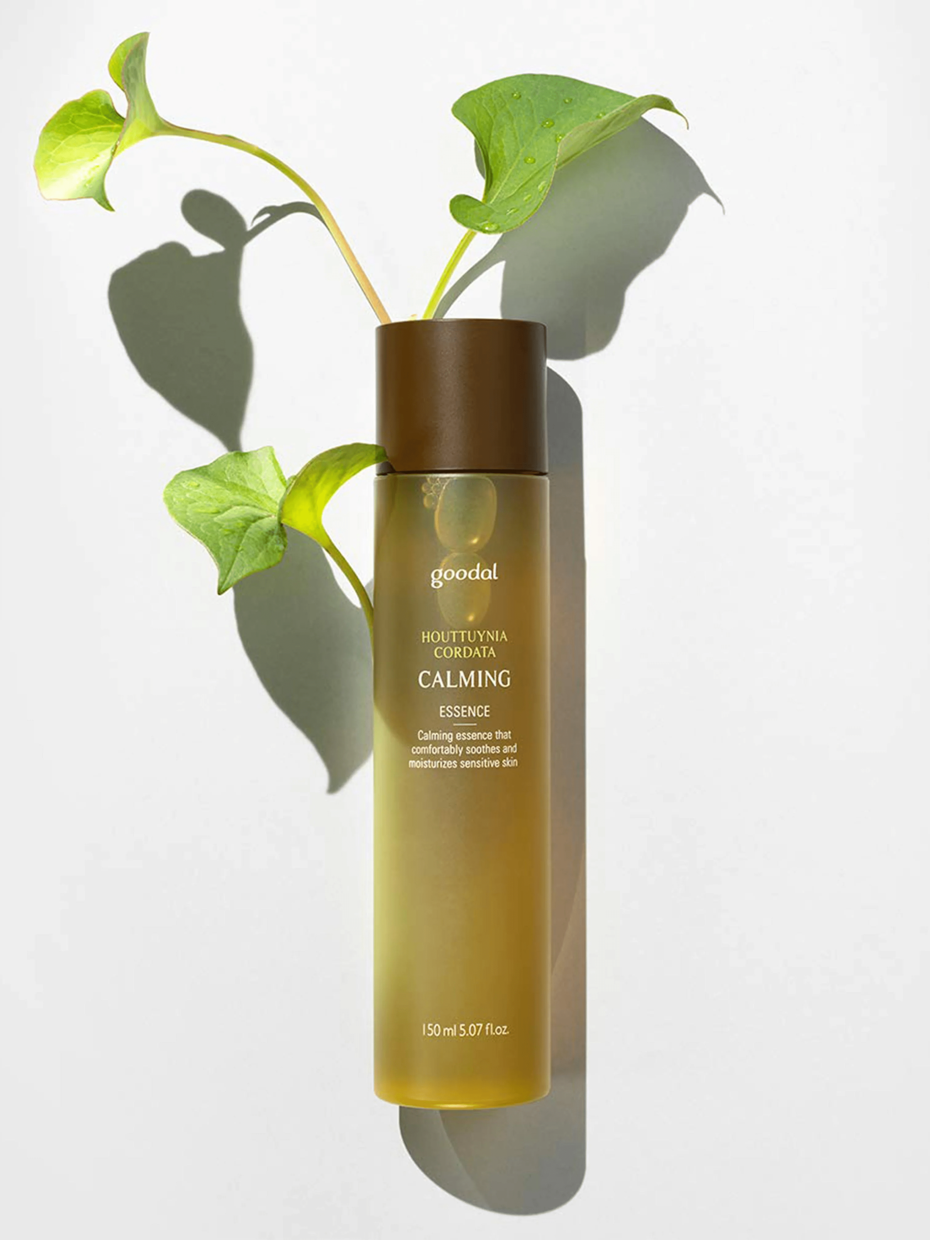 goodal houttuynia calming-essence skincare-kbeauty-glowtime-Goodal Houttuynia Cordata CAlkming Essence
