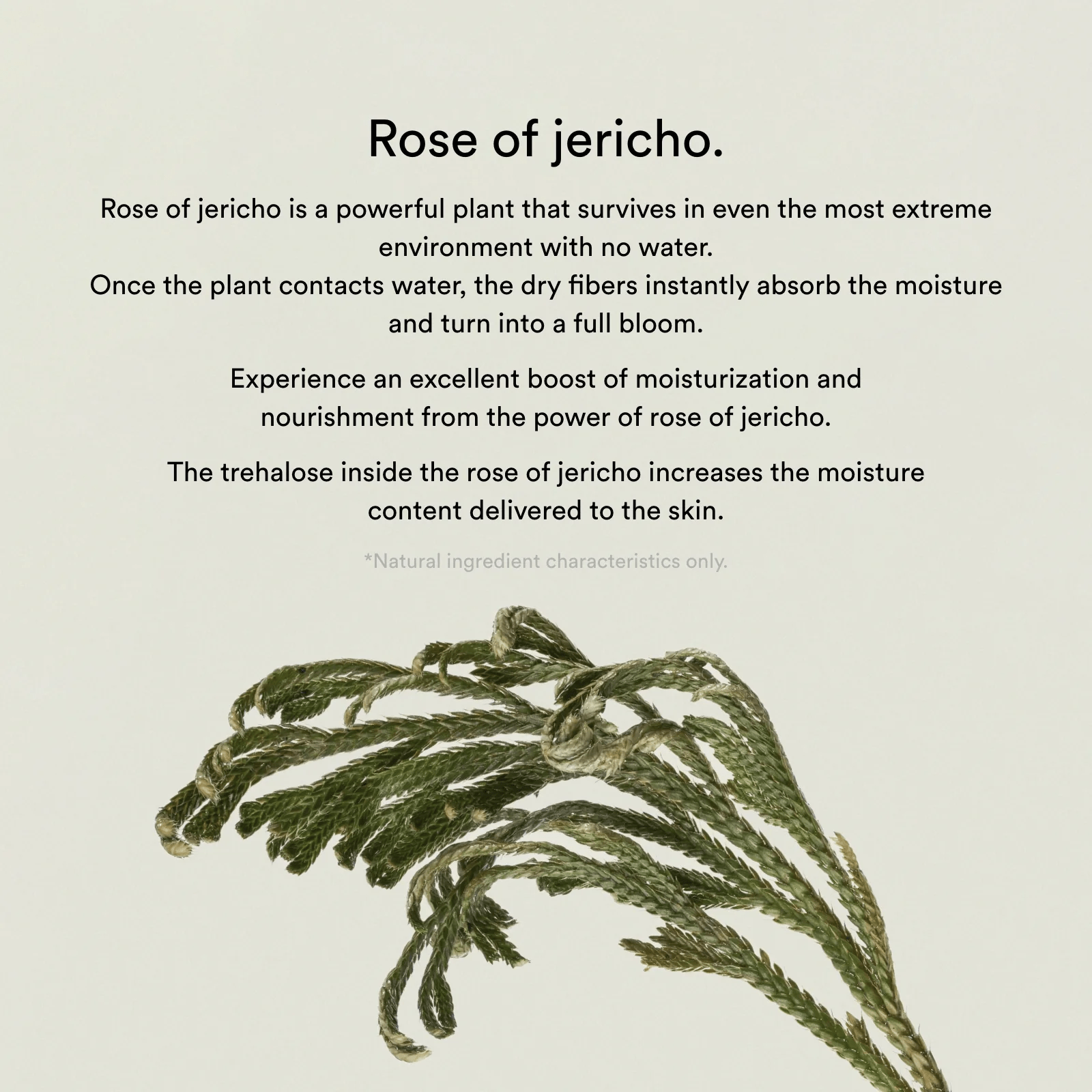 abib collagen gel mask jericho jelly mask info 6 skincare-kbeauty-glowtime-abib collagen gel mask jericho rose jelly