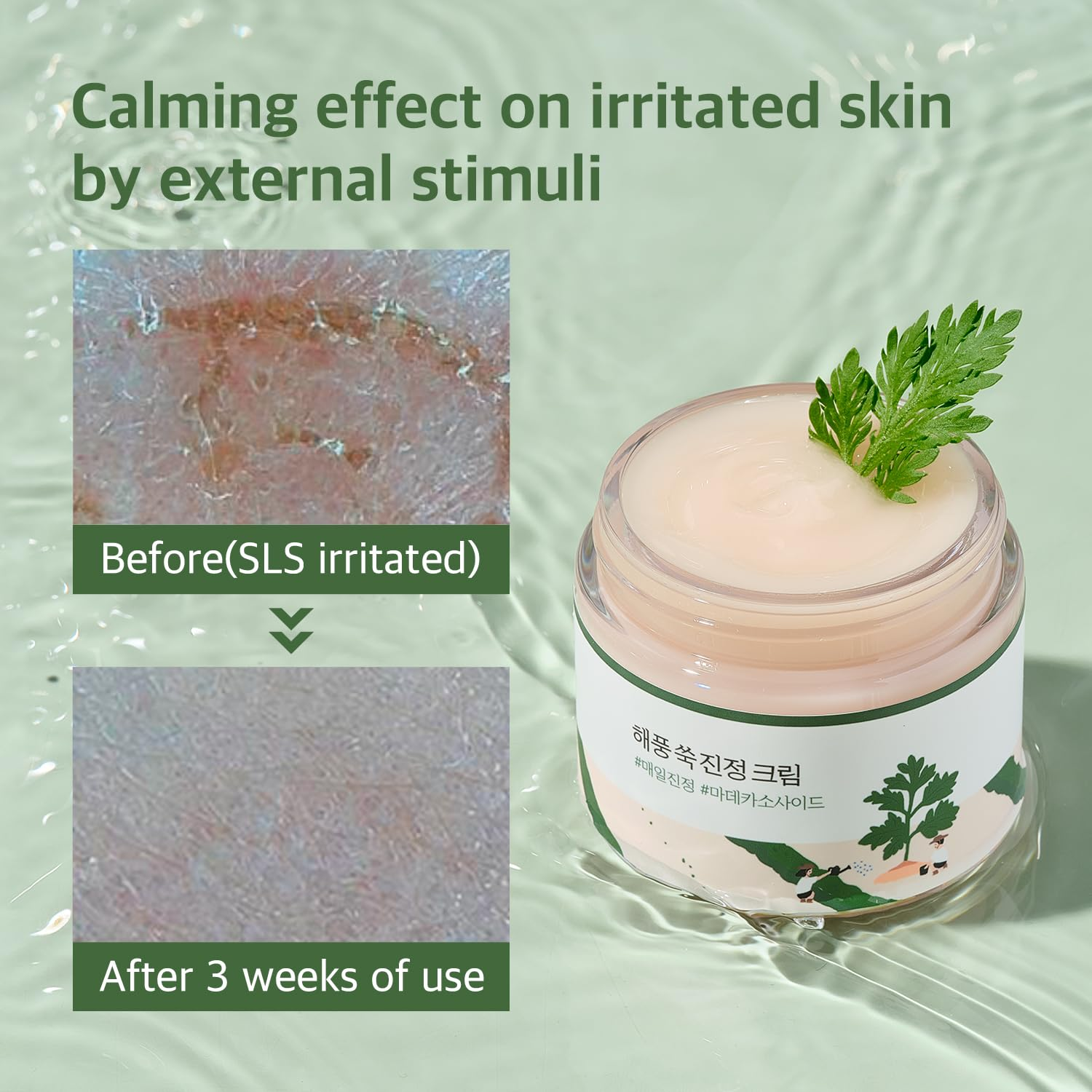 mugwort-calming-moisturizer-round-lab-11 skincare-kbeauty-glowtime-round lab mugwort calming craem