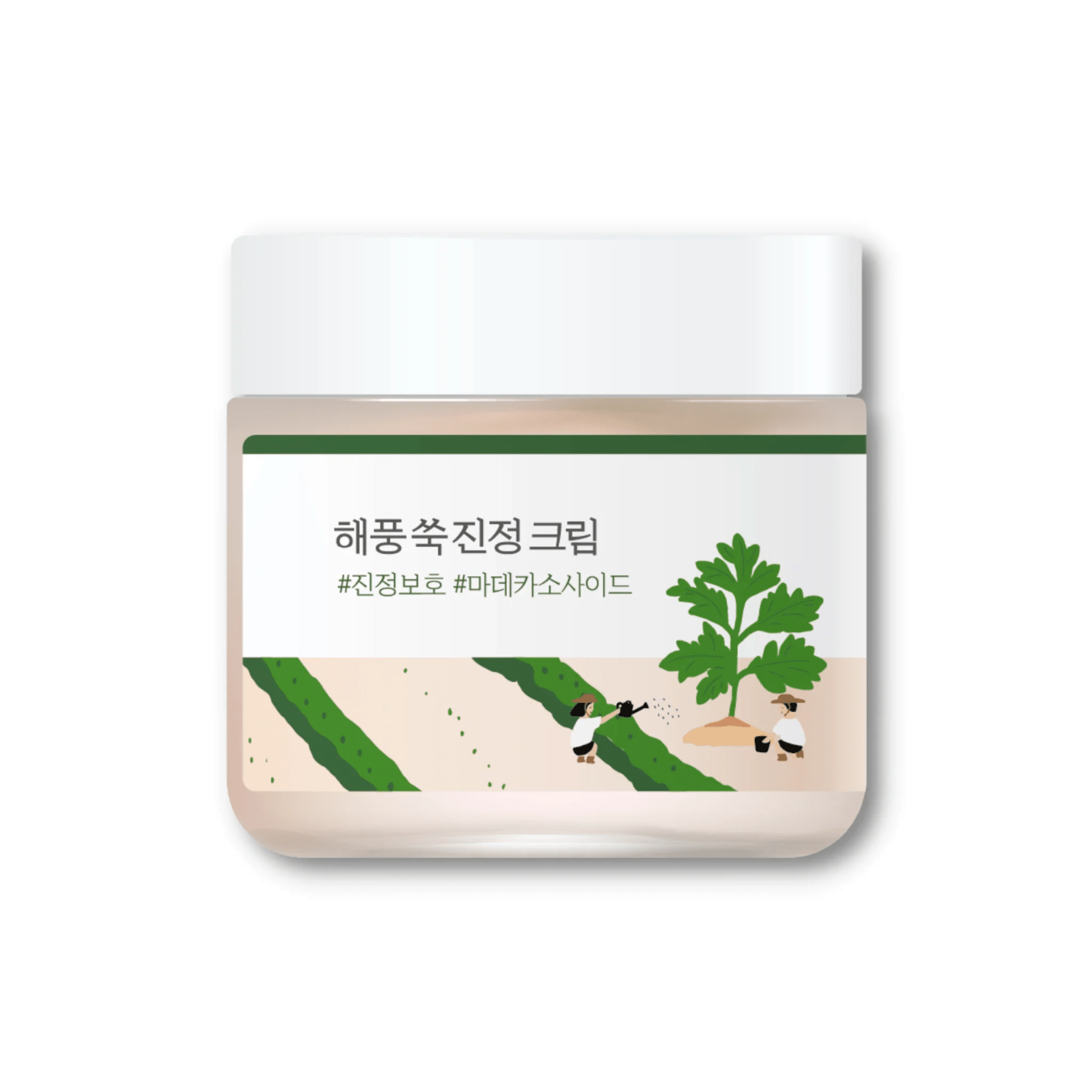 mugwort-calming-moisturizer-round-lab-2 skincare-kbeauty-glowtime-round lab mugwort calming cream