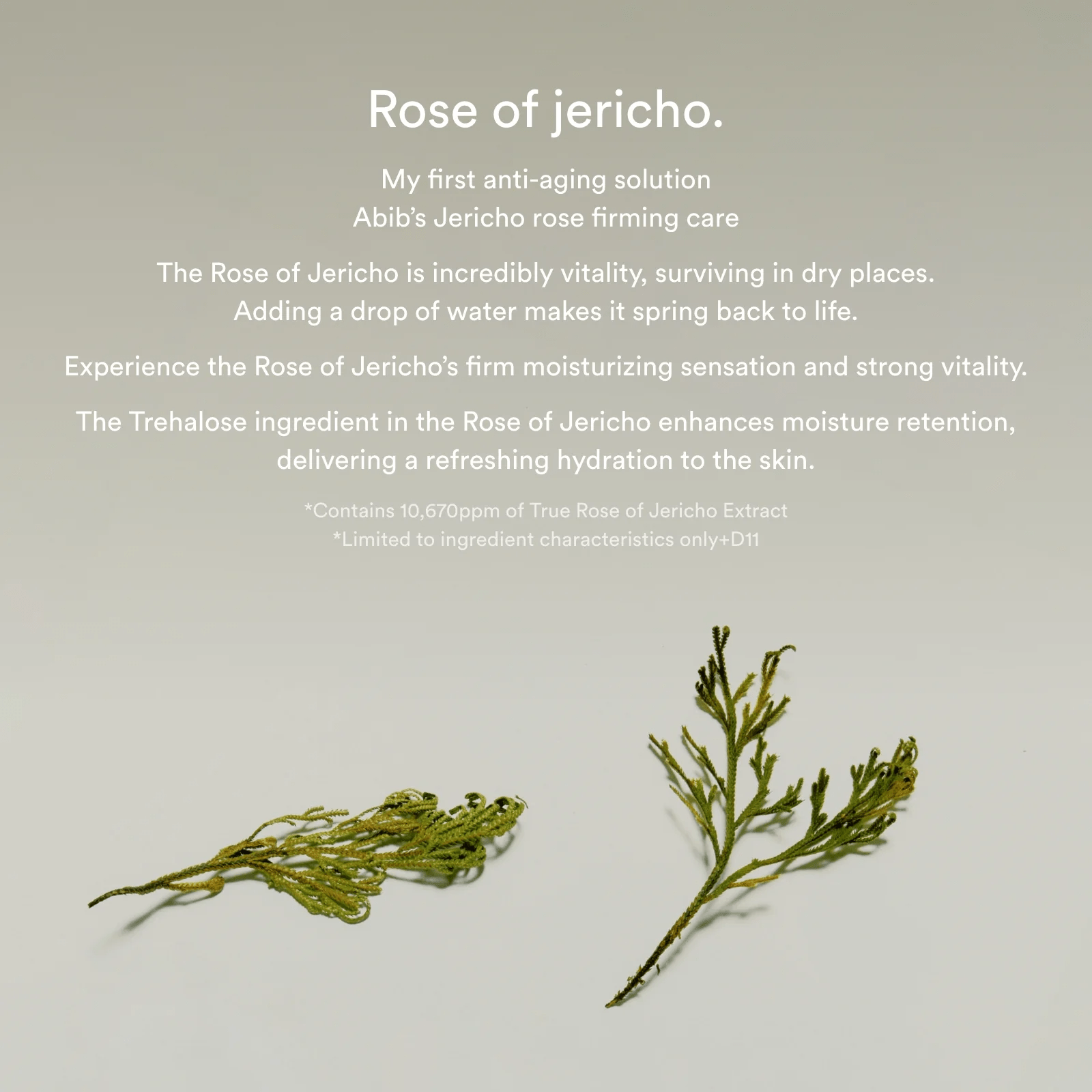 abib Jericho Rose Collagen pad firming touch 5 skincare-kbeauty-glowtime-abib Jericho Rose Collagen Pad Firimng TOuch