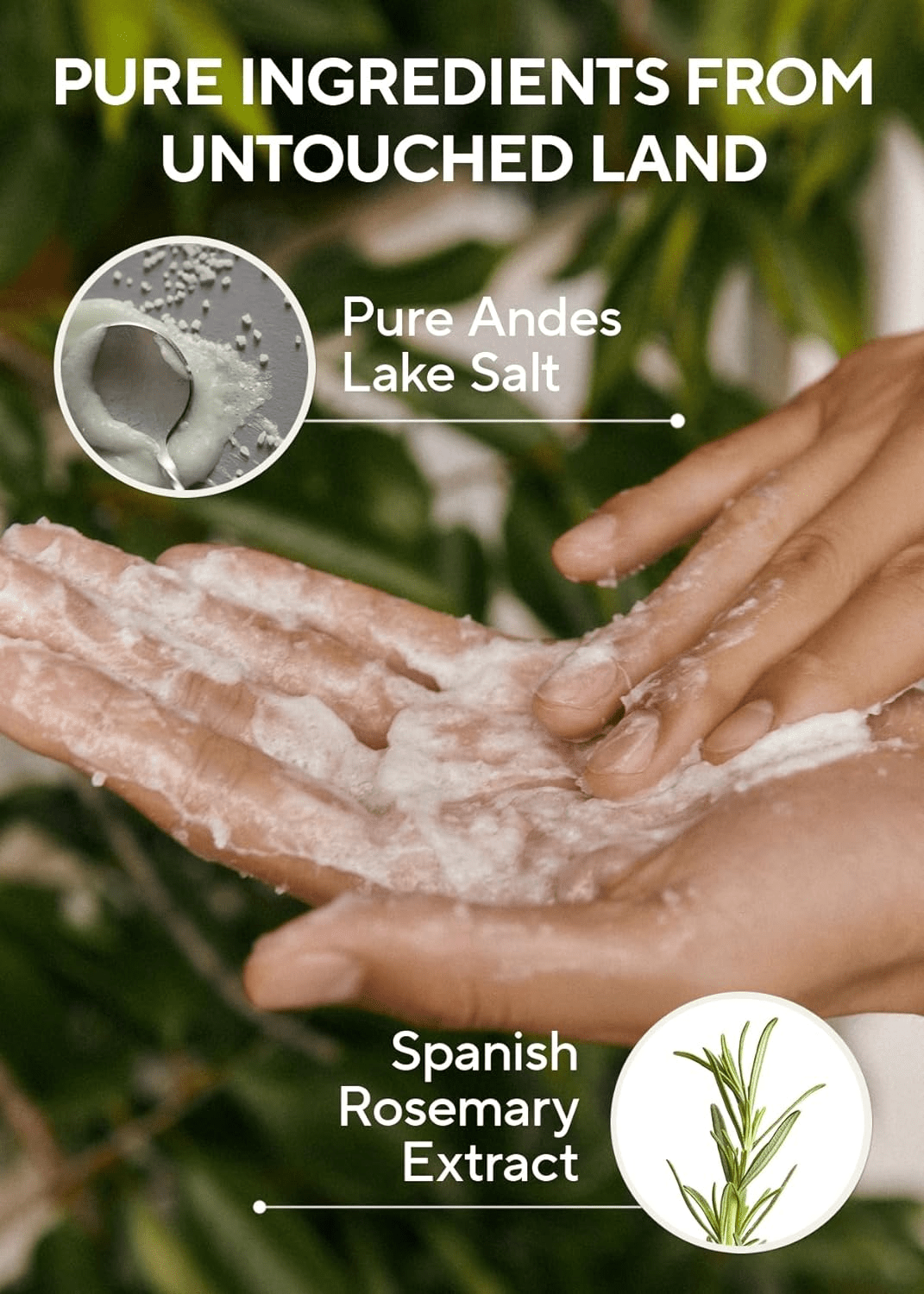 AROMATICA Rosemary Salt Scrub Shampoo 4 skincare-kbeauty-glowtime-aromatica rosemary salt scrub shampoo