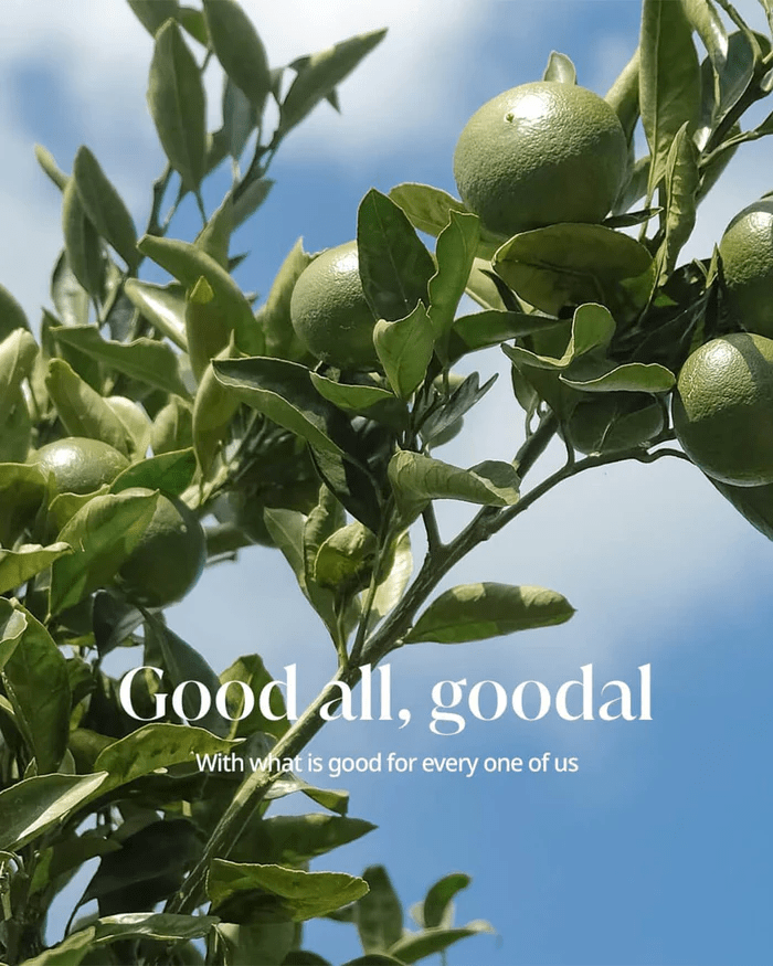 Goodal Green Tangerine Vita C mask 7 skincare-kbeauty-glowtime-goodal green tangerine vita c wash off mask
