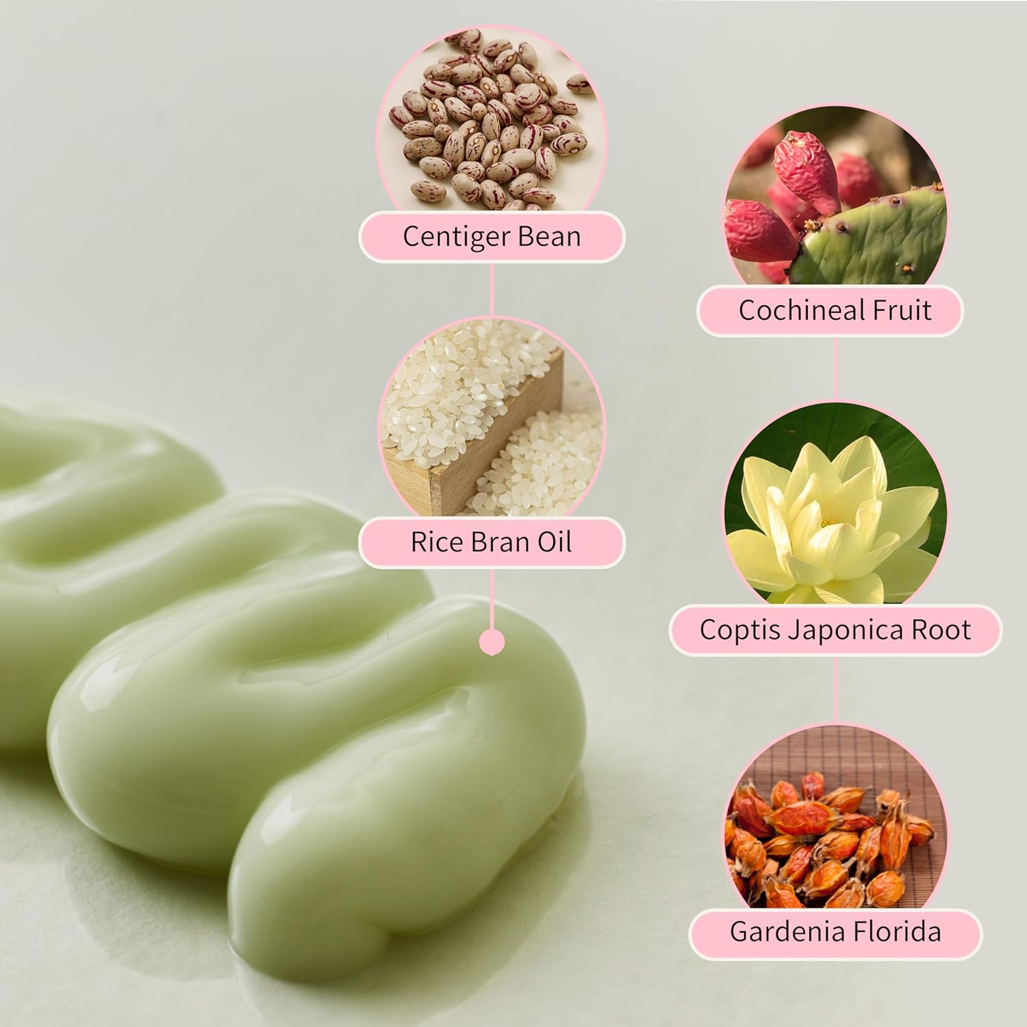 BEAUTY OF JOSEON Jello Skin Massage Cream 4 skincare-kbeauty-glowtime-beauty of joseon jello skin massage cream