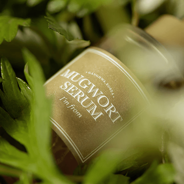 I'M FROM Mugwort Serum 5 skincare-kbeauty-glowtime-i'm from mugwort serum