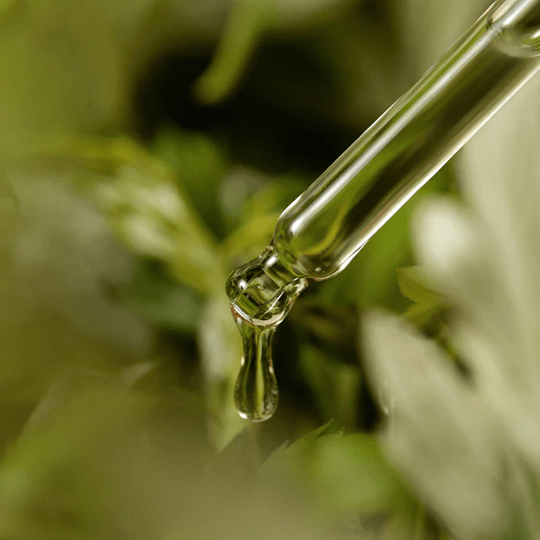 I'M FROM Mugwort Serum 6 skincare-kbeauty-glowtime-i'm from mugwort serum