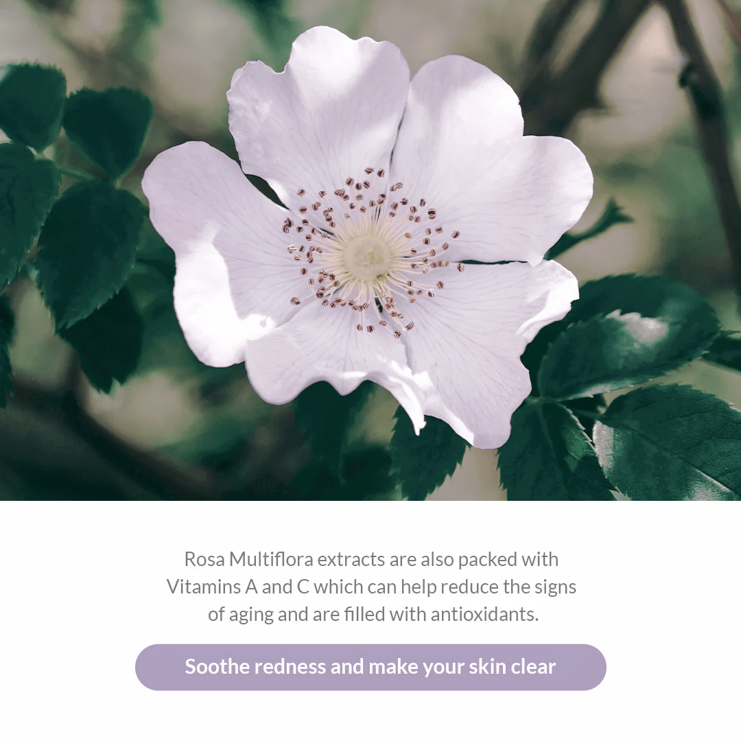 DR ALTHEA Premium Rosa Modelling Mask 4 skincare-kbeauty-glowtime-dr althea premium rose modelling mask