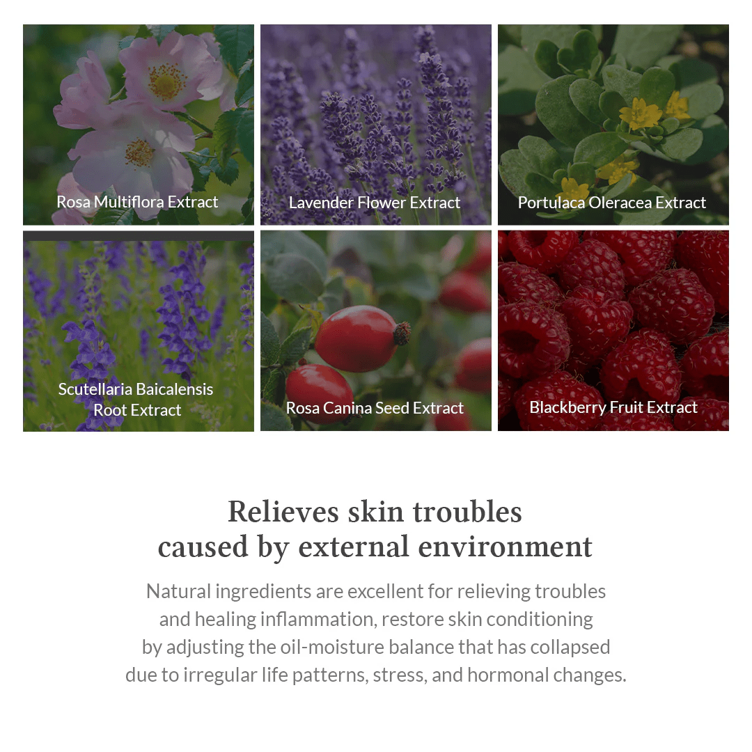 DR ALTHEA Premium Rosa Modelling Mask 5 skincare-kbeauty-glowtime-dr althea premium rose modelling mask