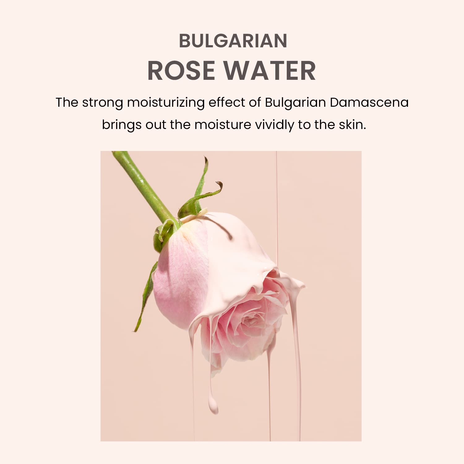 HEIMISH Bulgarian Rose Tone Up SPF 6 skincare-kbeauty-glowtime-heimish bulgarian rose tone up suncscreen