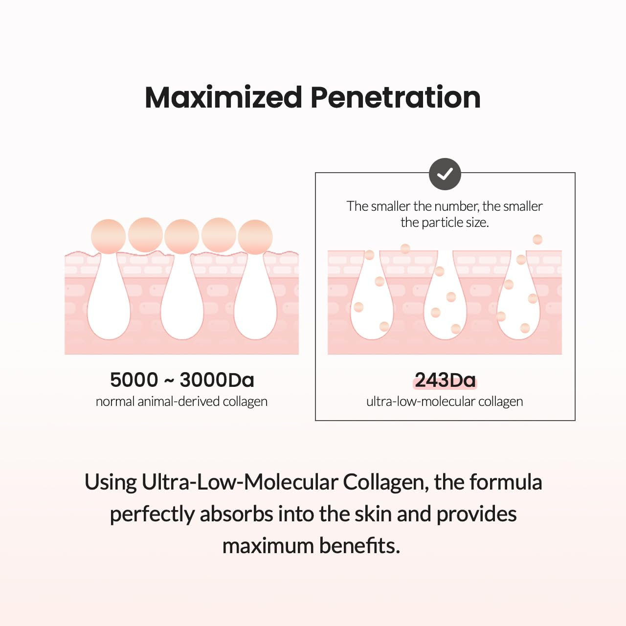 BIODANCE Collagen Ampoule Pore Perfecting 4 skincare-kbeauty-glowtime-biodance collagen ampoule