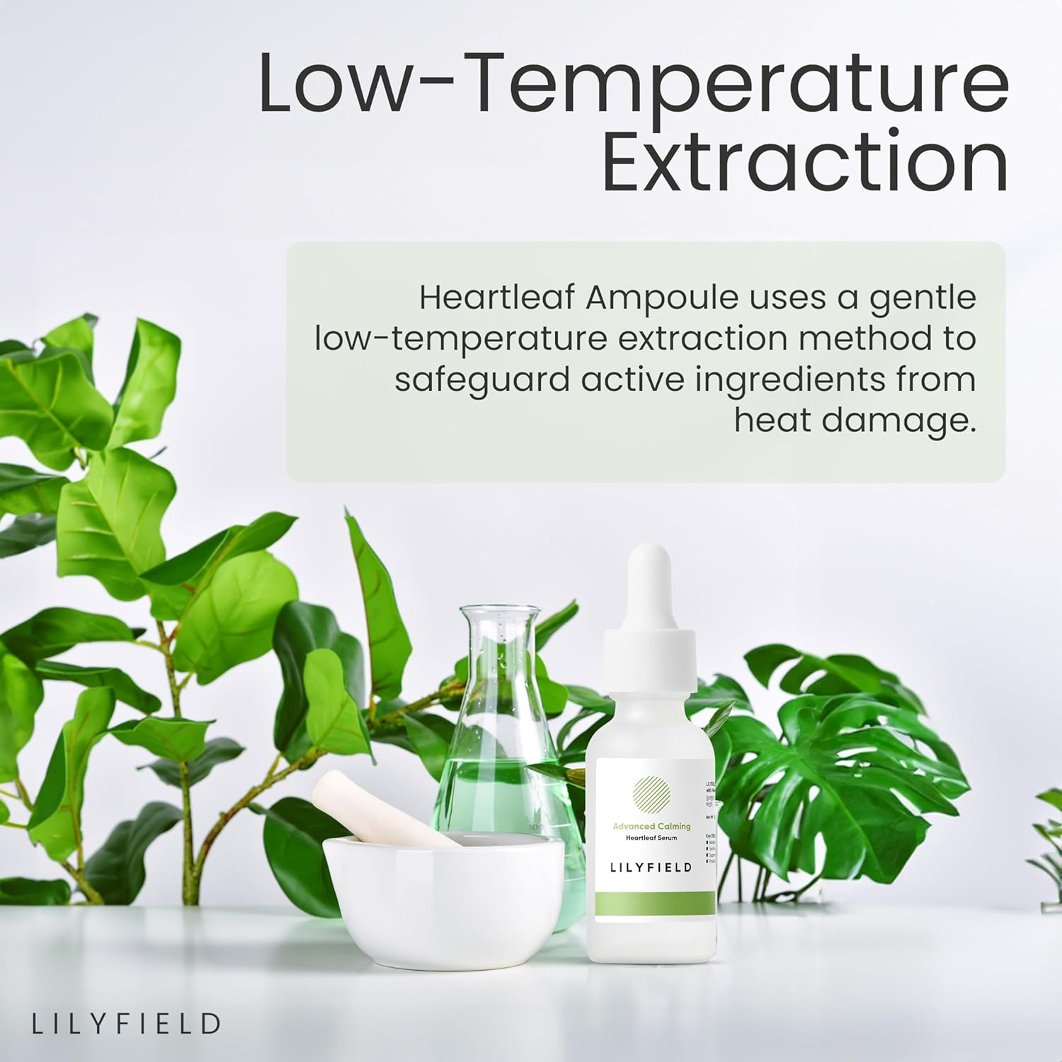 LILYFIELD Advanced Calmig Heartleaf Serum 6 skincare-kbeauty-glowtime-lilyfield advanced calming heartleaf serum