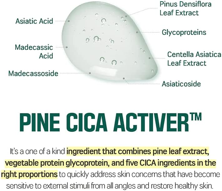 ROUND LAB Pine Calming cica body wash 6 skincare-kbeauty-glowtime-round lab pine calming cica body wash