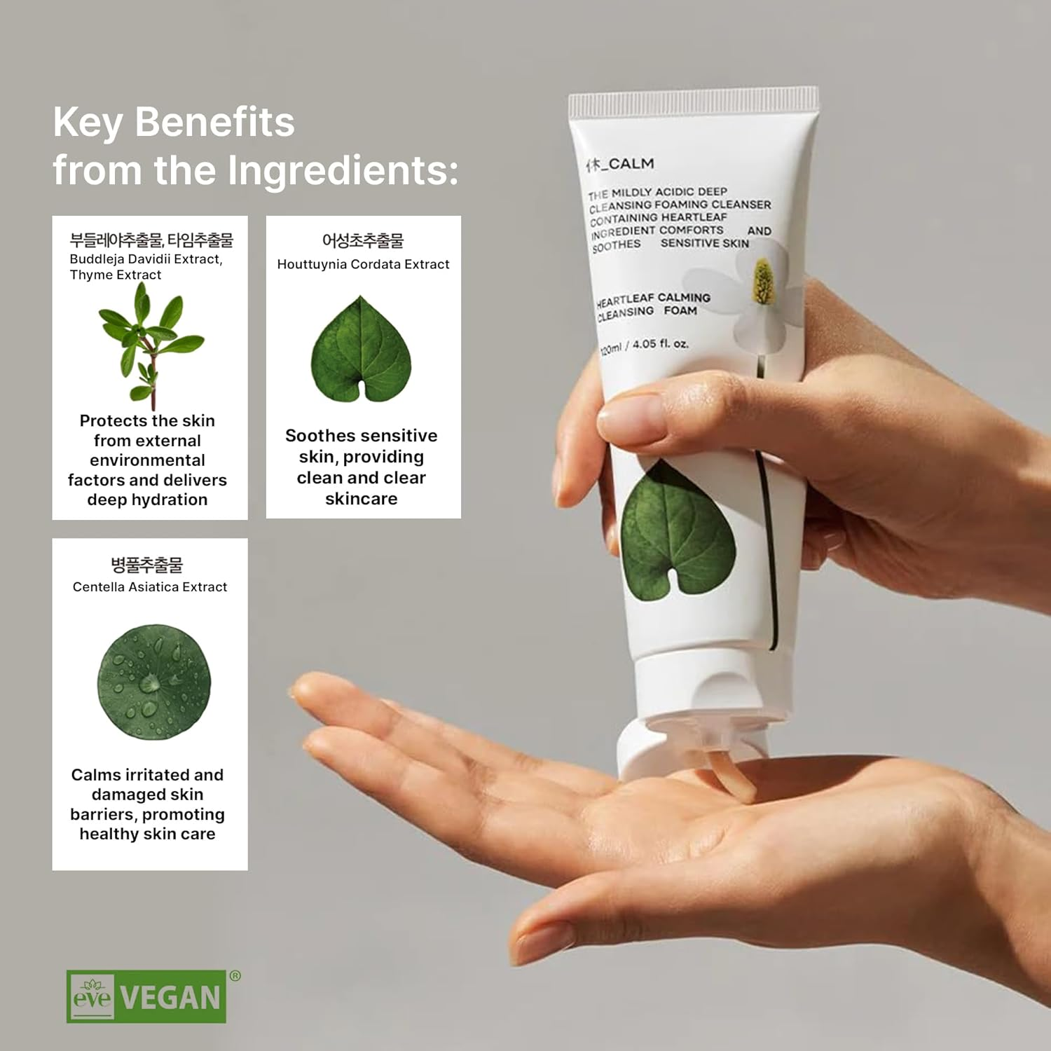 HUECALM Heartleaf Calming Cleansing Foam 3 skincare-kbeauty-glowtime-huecalm heartleaf calming cleansing foam
