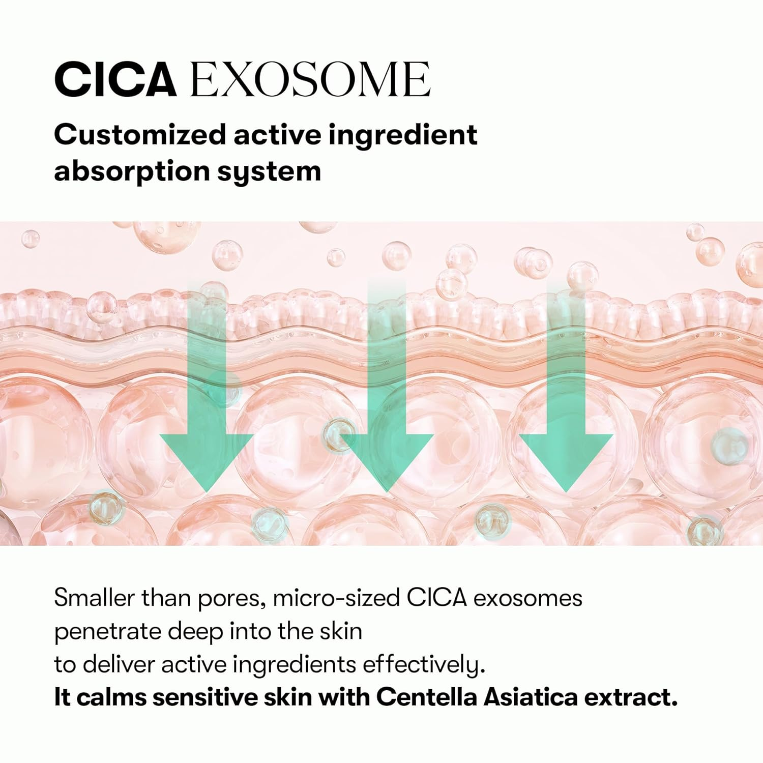VT COSMETICS PDRN Cica Exosome Firming and Moisture Ampoule 5 skincare-kbeauty-glowtime-vt cosmetics pdrn cica exosome firming and moisutre ampoule