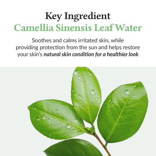 DR ALTHEA Green Tea Fresh Sunscreen 4 skincare-kbeauty-glowtime-dr althea green tea fresh sunscreen
