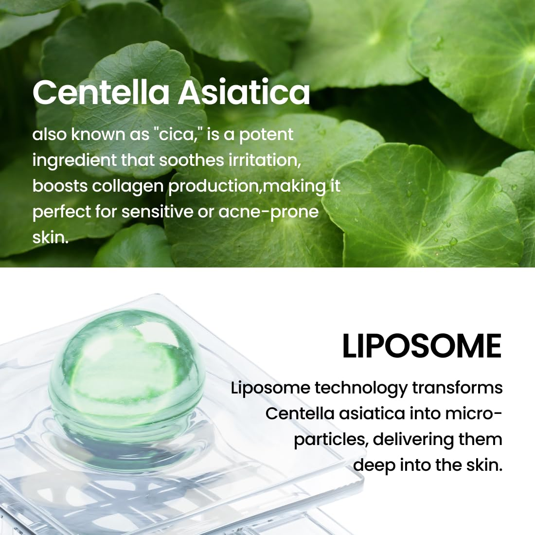 DELPHYR Liposome Soft Calming Cream 6 skincare-kbeauty-glowtime-delphy liposome soft calming cream