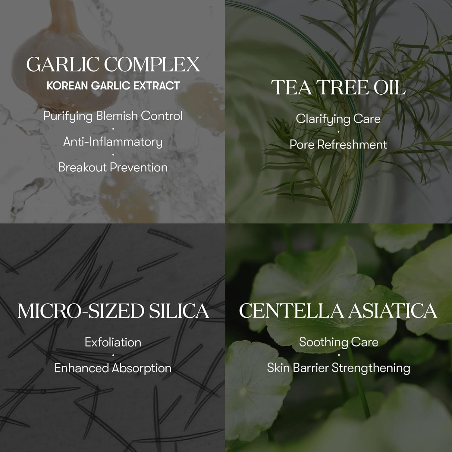 VT COSMETICS Garlic Reedle Shot Point patch 4 skincare-kbeauty-glowtime-vt cosmetics garlic reedls shot point patch
