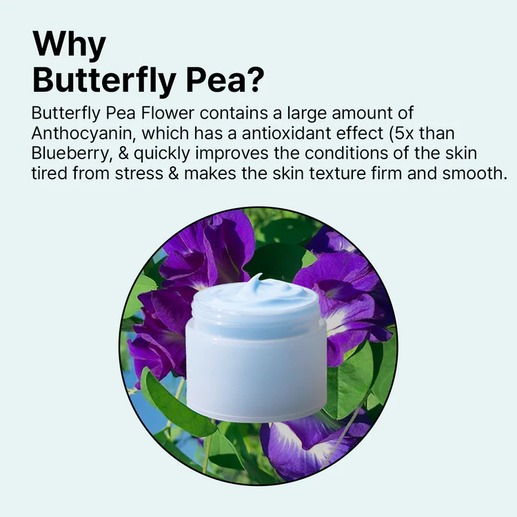 ONGREDIENTS Slow Aging Cream 6 skincare-kbeauty-glowtime-ongredients butterfly pea slow aging cream