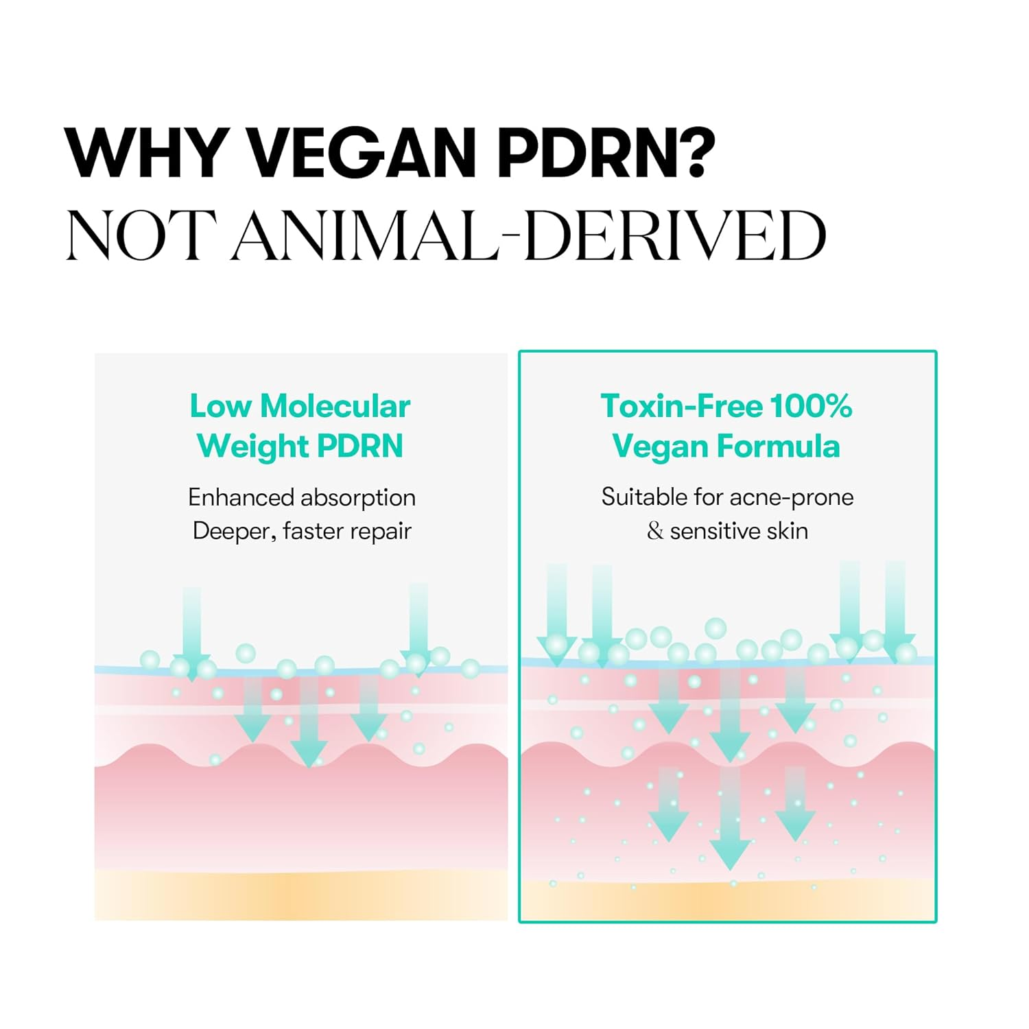 VT COSMETICS PDRN Capsule Cream 6 skincare-kbeauty-glowtime-vt cosmetics pdrn capsule cream