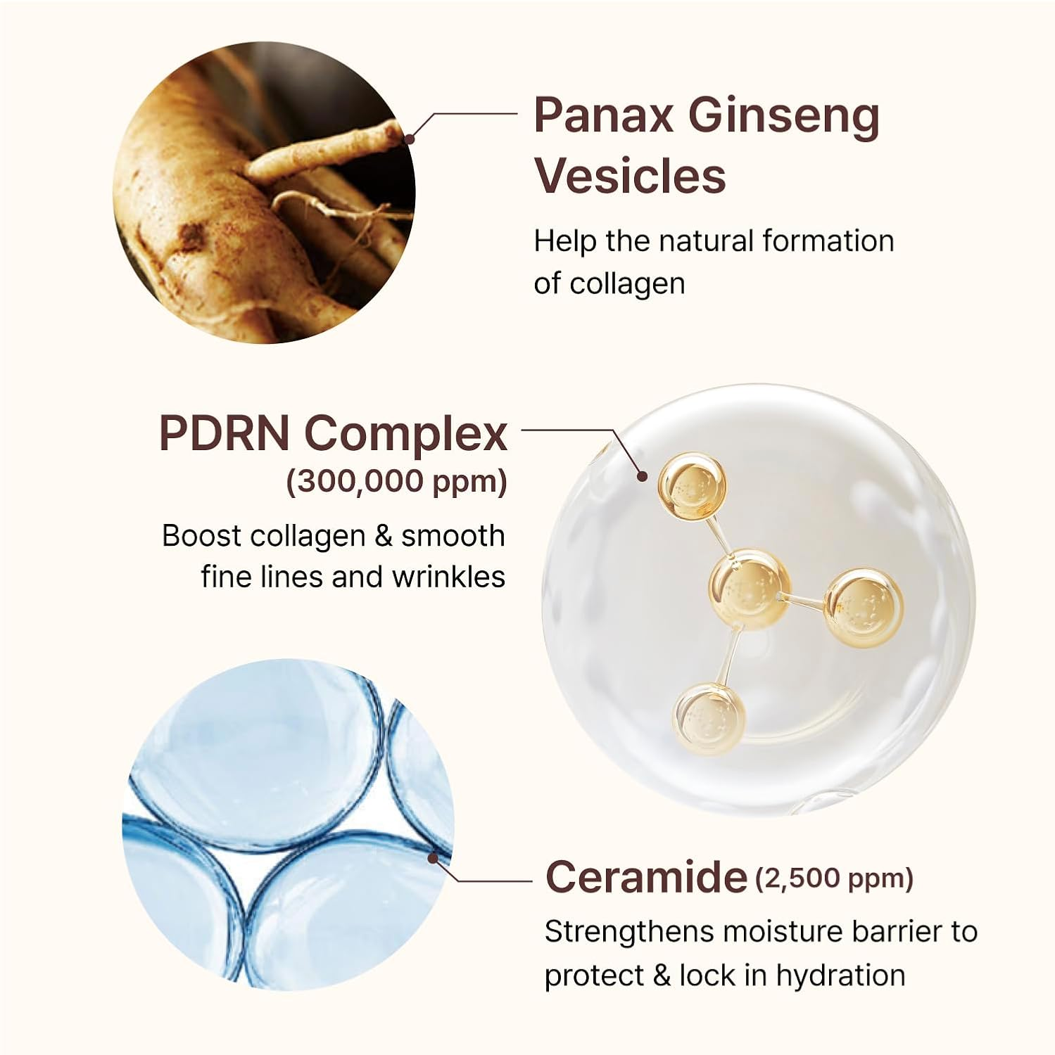 CENTELLIAN 24 PDRN Firming Boosting Ampoule 6 skincare-kbeauty-glowtime-centellain 24 pdrn firming boosting ampoule